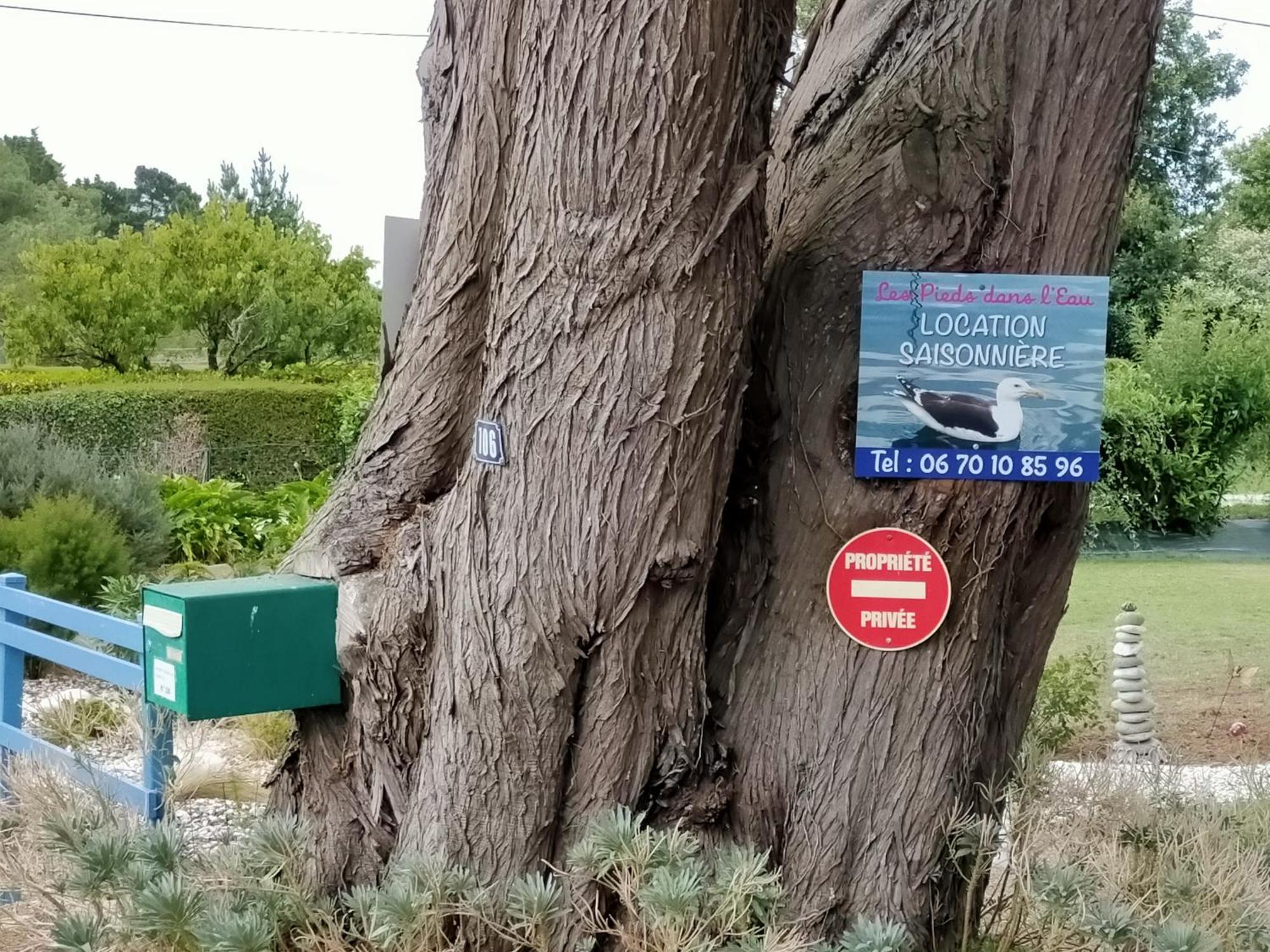 Apartament Au Calme, Les Pieds Dans L'Eau, 106 Route De La Pointe De Ruault 56370 Sarzeau Zewnętrze zdjęcie